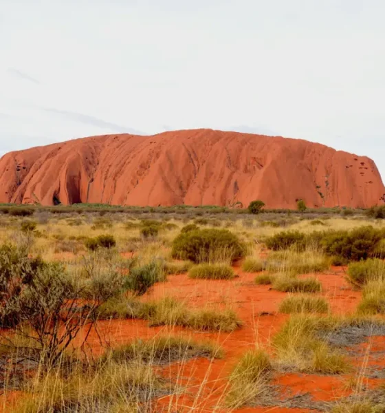 ULURU with kids