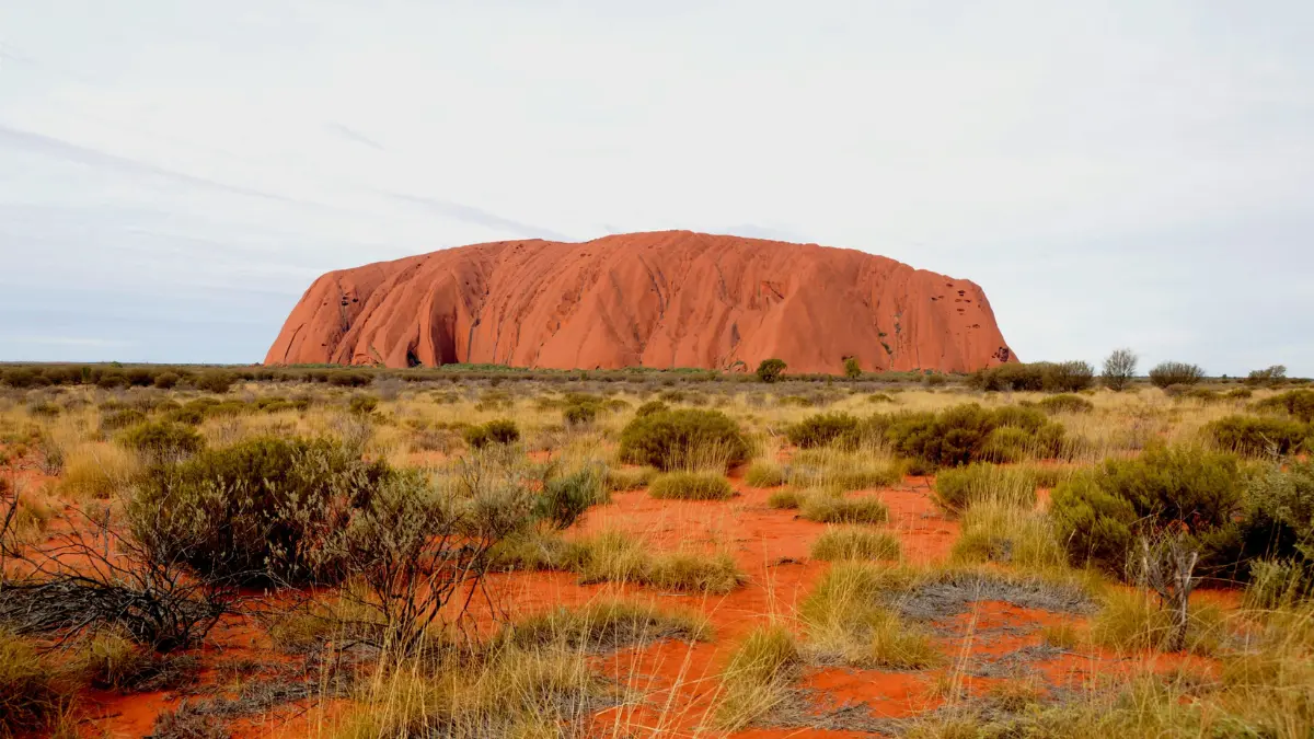 ULURU with kids