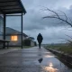 A person in a dark coat walking away along a wet suburban footpath on a grey winter morning, wind bending a bare branch over long grass beside a bus shelter.